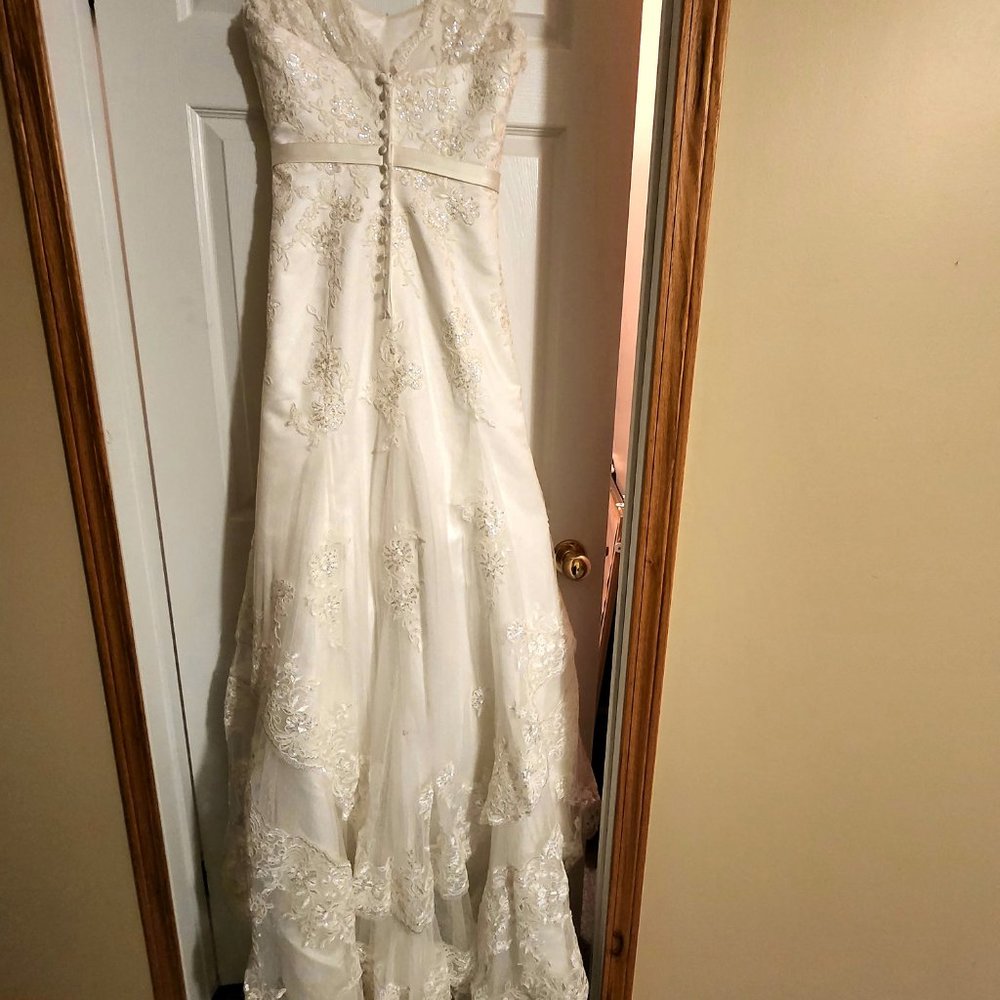 Champagne Wedding Dress - Picture 6 of 9